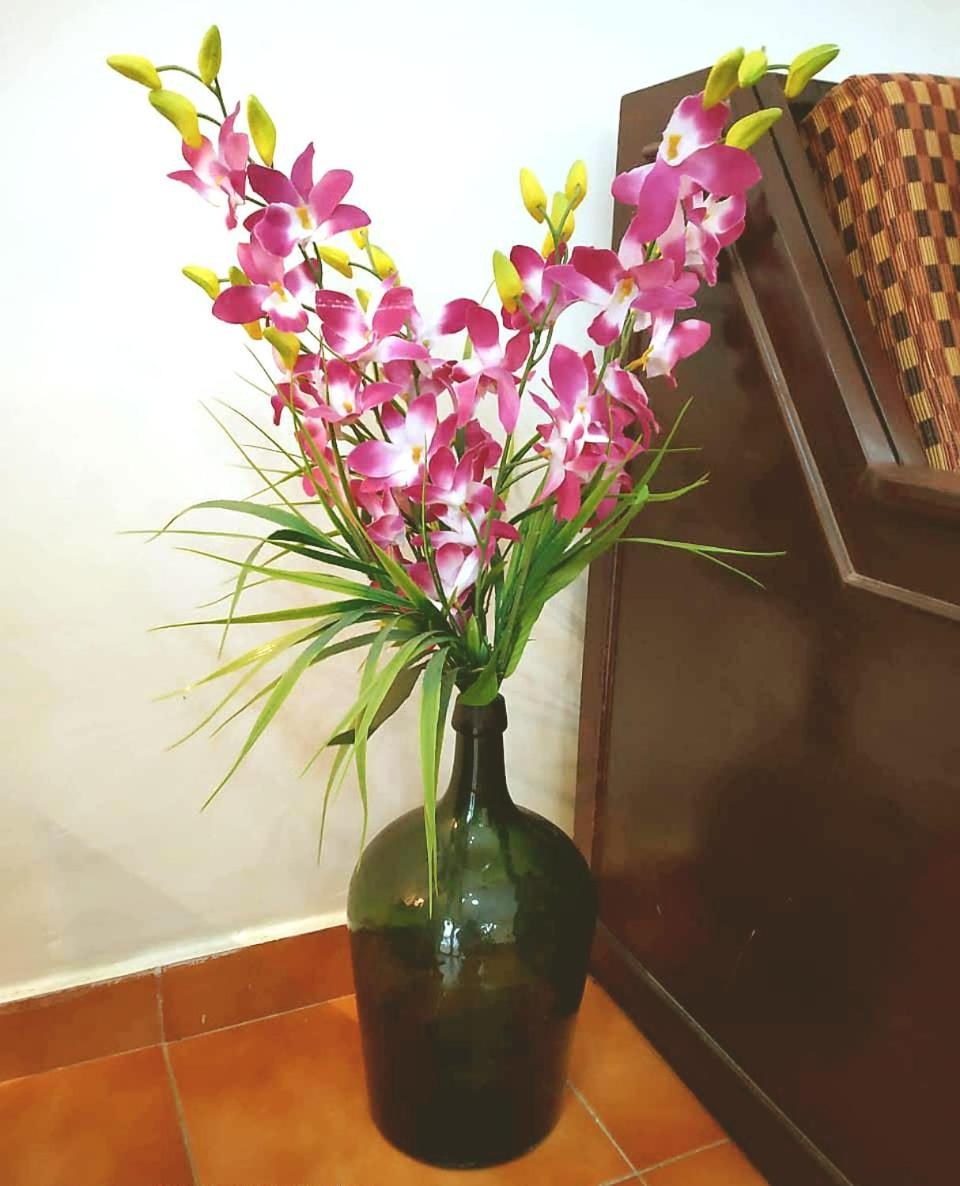 קנדולים Diana Apartments מראה חיצוני תמונה